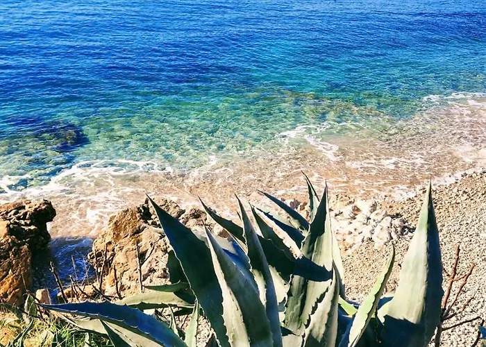 Ariademar