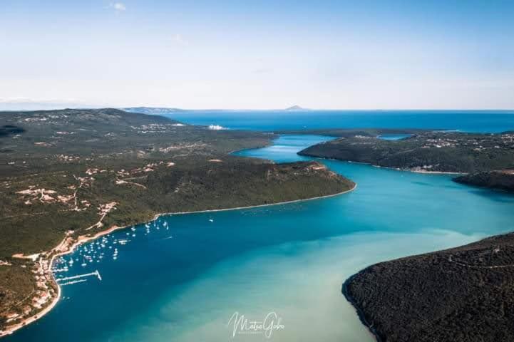 Ariademar * Koromačno